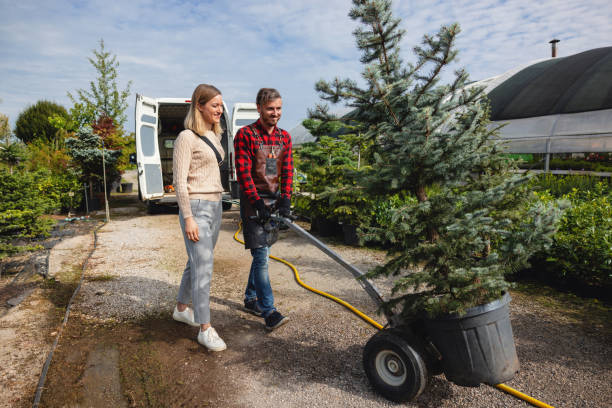 Best Tree Maintenance Programs  in Destin, FL